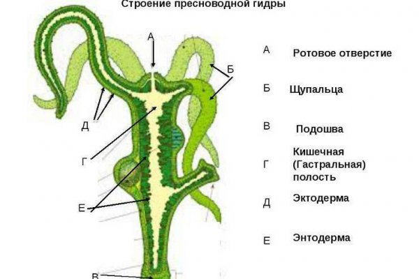 Каталог онион сайтов